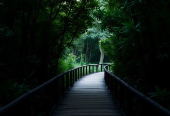 Walking on a Wooden Path Through Lush Green Forest Scenery