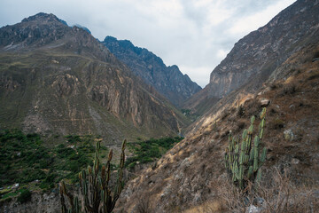 Colca River Canyon