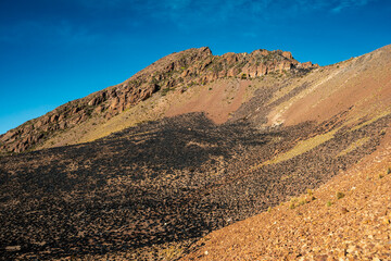 burned grass field