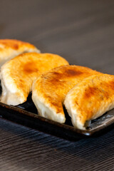 Grilled pot stickers