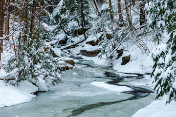 icy river, winter forest in the snow