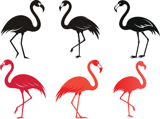 Set of Flamingo Silhouette Art Minimalist Wildlife Drawing