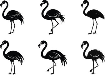 Flamingo Silhouette Vector Set Tropical Bird Illustration


