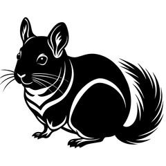 Obraz premium Chinchilla silhouette vector black outline, white background