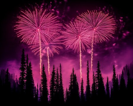 Pink Fireworks Over Silhouetted Forest.