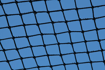 A black netting stretches across the view, creating a grid against a bright blue sky. The sunlight...