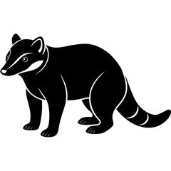 Fototapeta premium Coati silhouette vector black outline, white background