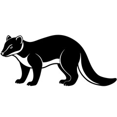 Fototapeta premium Coati silhouette vector black outline, white background
