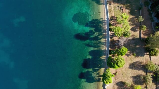 Aerial view of beautiful paradise beach of Skinos covered in pine trees in beautiful Ionian island of Ithaca, Greece