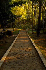 A peaceful stone pathway winds through a forested park, lined with tall trees and bathed in the golden light of late afternoon.