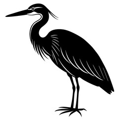 Obraz premium Egret Bird silhouette vector black outline, white background
