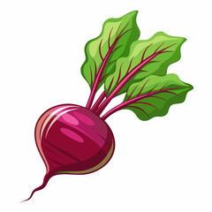  Fresh and vibrant beetroot vector illustration for digital designs, packaging, and branding.