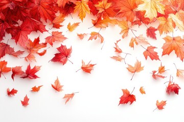Colorful autumn leaves scattered on a white surface creating a seasonal display