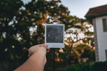 polaroid of light in park