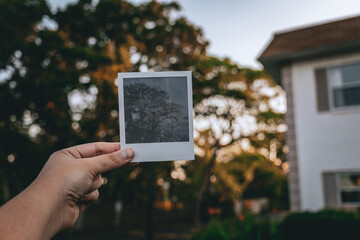 polaroid of light in park
