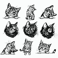 Cute Cat SVG files for Cricut, curious Pet Vector, shirt design, Peeking face animal Clipart