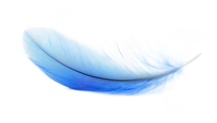 blue feather rests gracefully against a white background showcasing its soft texture and vibrant color symbolizing lightness and freedom
