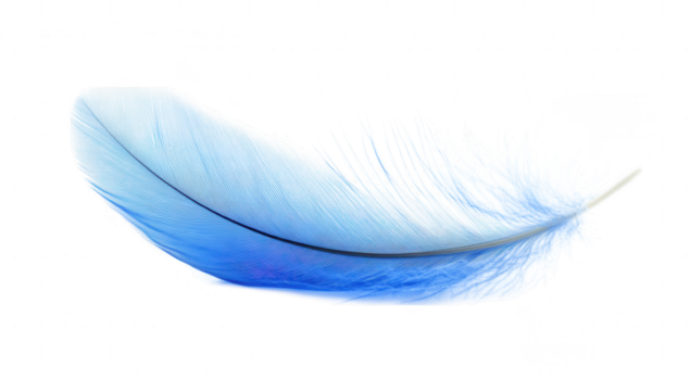 blue feather rests gracefully against a white background showcasing its soft texture and vibrant color symbolizing lightness and freedom