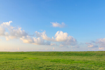 green field and blue sky