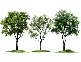 Obraz premium Oreo cookies falling down, flying around, from different angles, on a transparent background 