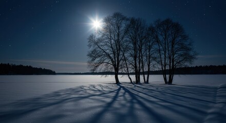 Full moon casting shadows on snow-covered landscape with silhouetted trees