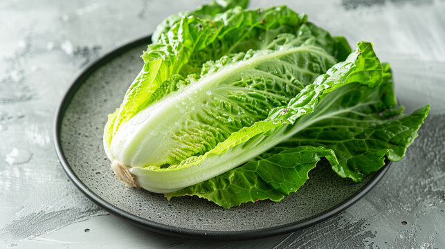 Romaine lettuce head with crisp tips placed upright, studio shot perfect for salad prep and fresh produce marketing