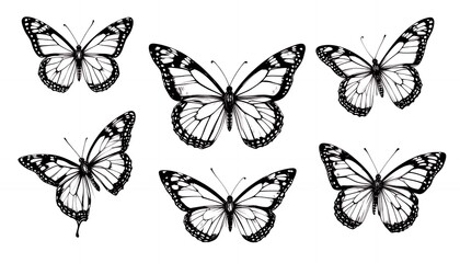 Naklejka premium Elegant Butterfly Illustration Collection with Detailed Wing Patterns on White Background