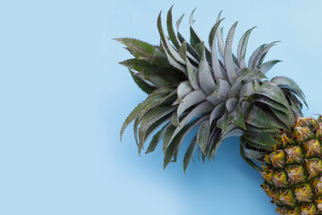Pineapple fruit on white background.