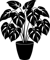 Home Potted Plants Silhouette