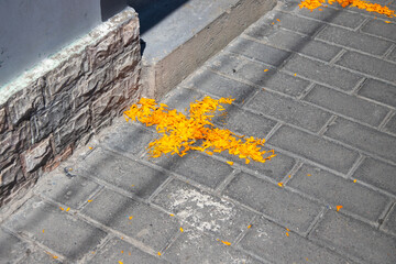 Marigold flower petals on the streets of Atlixco, Puebla, Mexico, for the Day of the Dead festival.