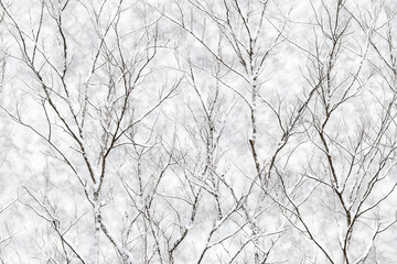 frozen body of water texture 