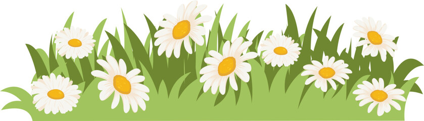 Daisy And Grass Border