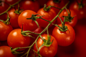 Red cherry tomatoes on red background. Still life food photography 