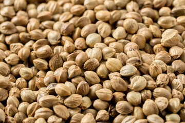 closeup pile of hemp seed background texture