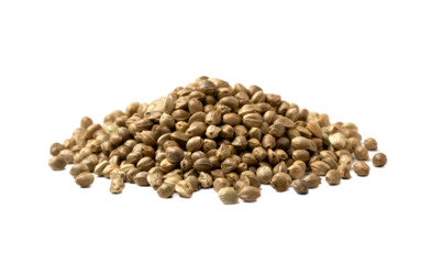 closeup pile of hemp seed cutout