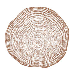 Tree wood texture. Wooden old trunk. Cut timber log. Abstract rings nature pattern. Brown circle stump. Wood cross section. 