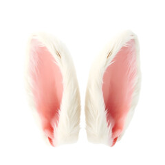 PNG White rabbit ears animal bunny pink isolated white and transparent background