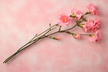 Obraz premium Fresh and Colorful Floral Background Celebrating Summer