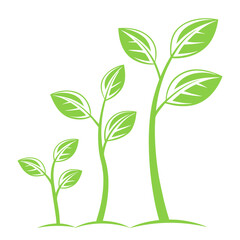 Green sprouts growing plants signs, A plant with four different stages of growth