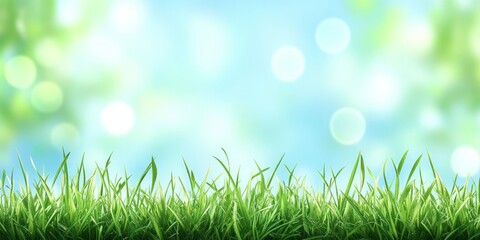 Fototapeta premium Bright green grass field with a blurry background scene