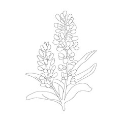 Bluebonnet Minimalistic Outline SVG Vector, line art