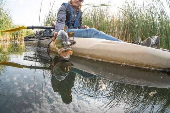 Man releases bass from kayak