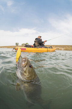 Mam hooks into small mouth bass from kayak