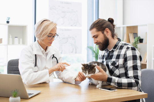 Male owner and female veterinarian discuss care of injured cat in clinic room. Veterinarian treats cat's injury, showing care and expertise, while owner shows concern and care for pet's wellbeing.