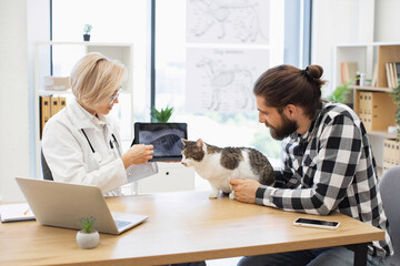 Veterinarian speaking to male pet owner while reviewing feline's x-ray. Scene shows caring...