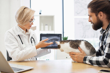 Female veterinarian in white coat showing x-ray image of a cat to male owner. Scene depicts cat healthcare and consultation in veterinary clinic. Male, adult, wearing black plaid shirt.