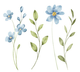 Wild flowers set, watercolor digital illustration. Perfectly for poster, card design. Mother's Day, Birthday, Valentine's day decoration.