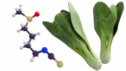 A 3d rendering of sulforaphane is a compound found in cruciferous vegetables, a family that includes bok choy.
