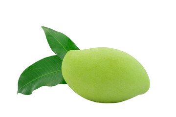 High-Quality PNG of Green Mango Isolated on White Background
