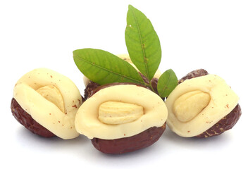 Macadamia nuts isolated on white background - stock photo
